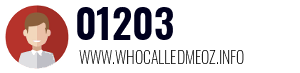 01203