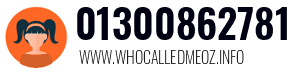 01300862781