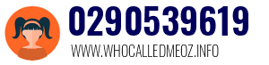 Telephone number 0290539619 0290539619