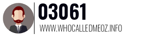03061