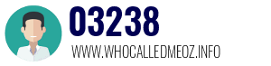 03238