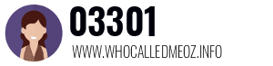 03301
