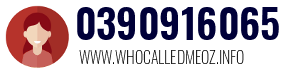 0390916065