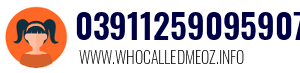Telephone number 03911259095907 03911259095907