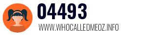 04493