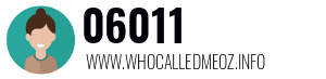 06011