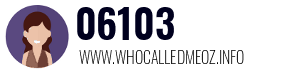 06103