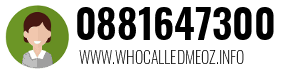 0881647300